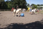 Ponyfußball Tag der offenen Tür 2013